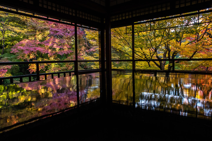 「D750」2019京都楓葉季和大阪不夜城全記錄