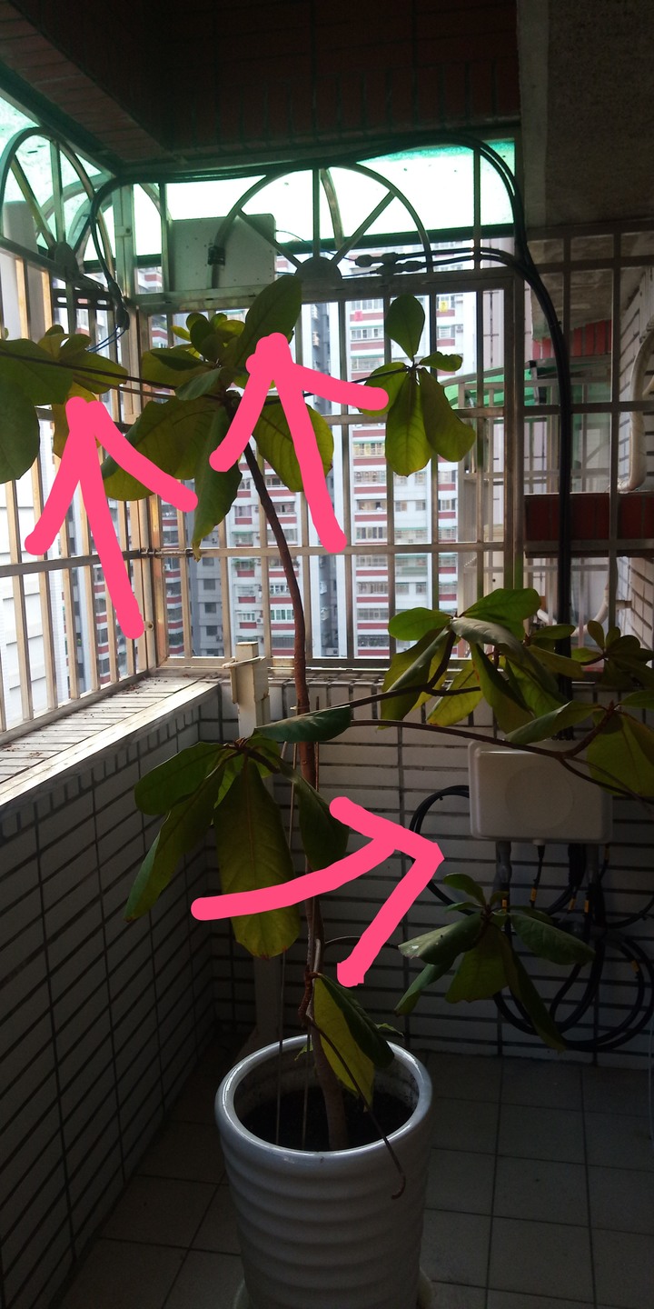 台星住家裝設微型基地台之大大的疑問