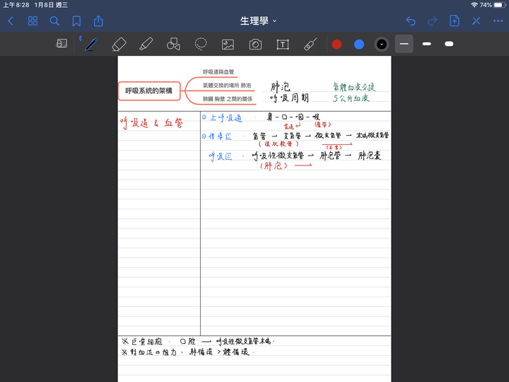 Apple pencil 驚艷之作（筆記用途
