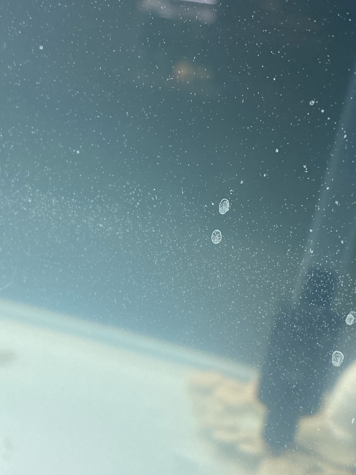 魚缸玻璃長不明物體