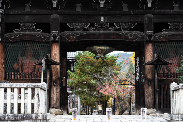 「D750」2019京都楓葉季和大阪不夜城全記錄
