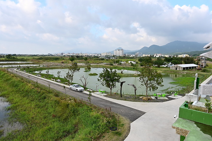 點我看大圖 台灣首發在mobile01,我在2019年11月1日以影片方式首拍到西方澤鵟。