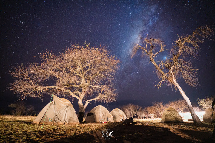 曠古之聲：東非雙亞行略（上）｜Africa Safari