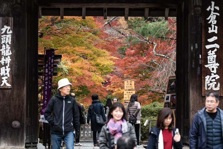 「D750」2019京都楓葉季和大阪不夜城全記錄