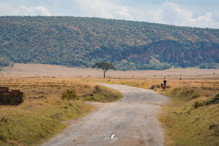 曠古之聲：東非雙亞行略（上）｜Africa Safari