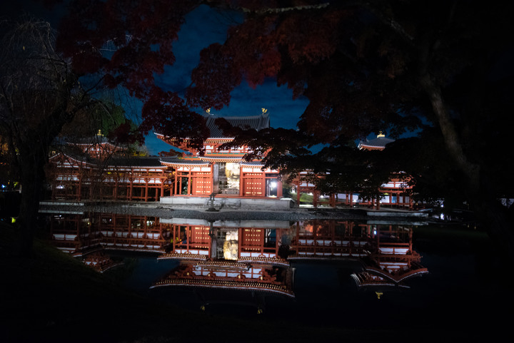 「D750」2019京都楓葉季和大阪不夜城全記錄