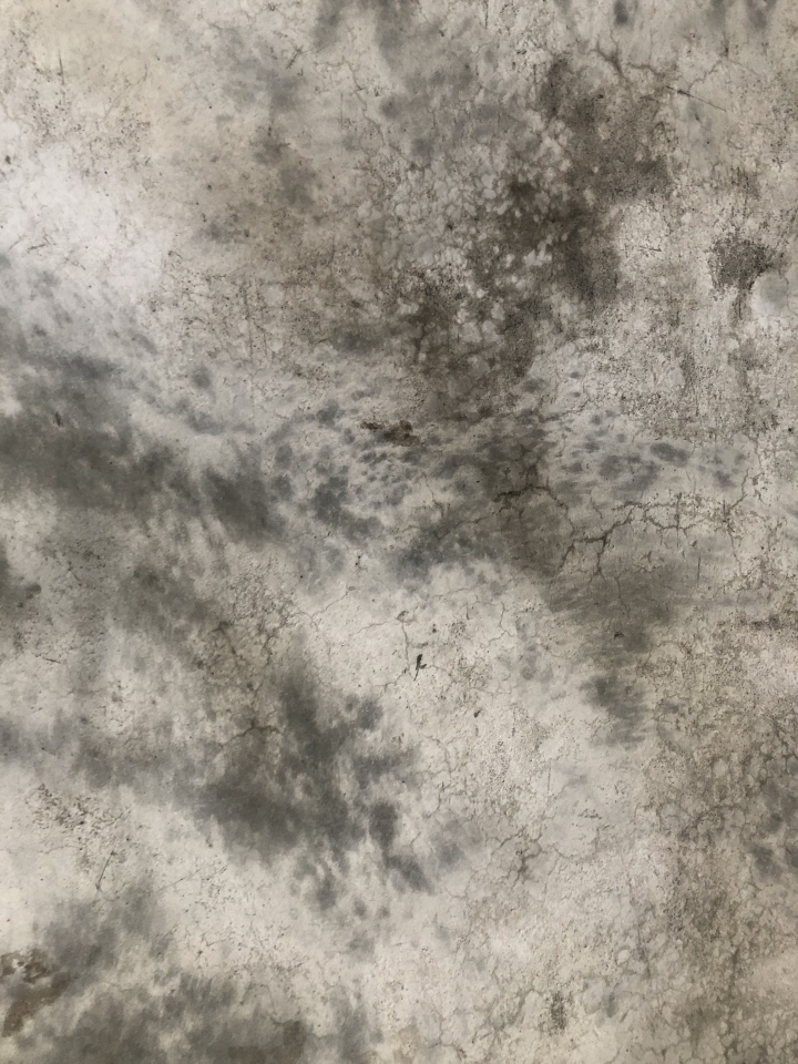 我的水泥粉光地板 好像怪怪的