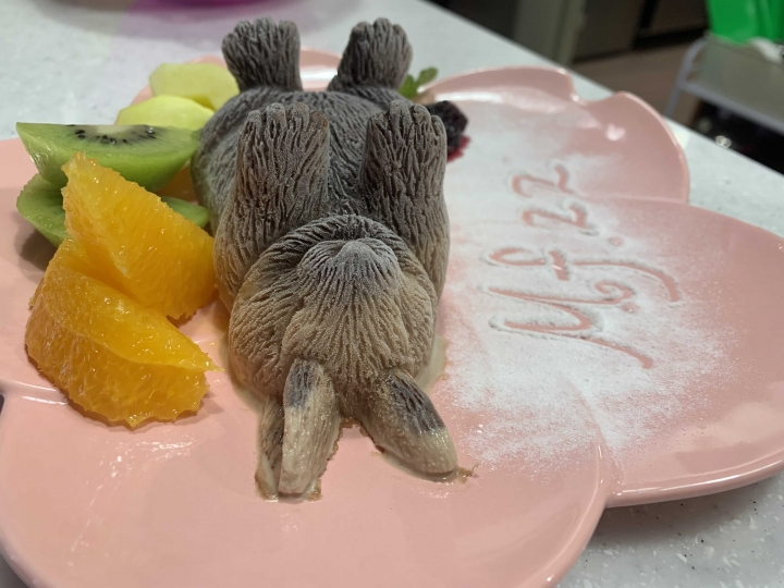 魔法兔兔寵物友善餐廳