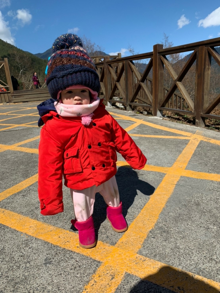 最美三月櫻花雪，賞櫻歸來不看春 武陵雪東