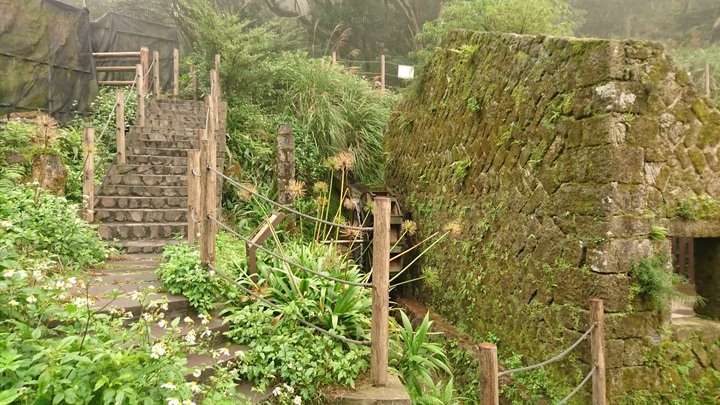 [樂山童盟] [台北北投] 悠遊"竹子湖"[猴崁湖田國小步道-百年楓香巨木-草山水道滾水頭-猴崁水圳古道-青楓步道-竹子湖黑森林-水車寮步道]