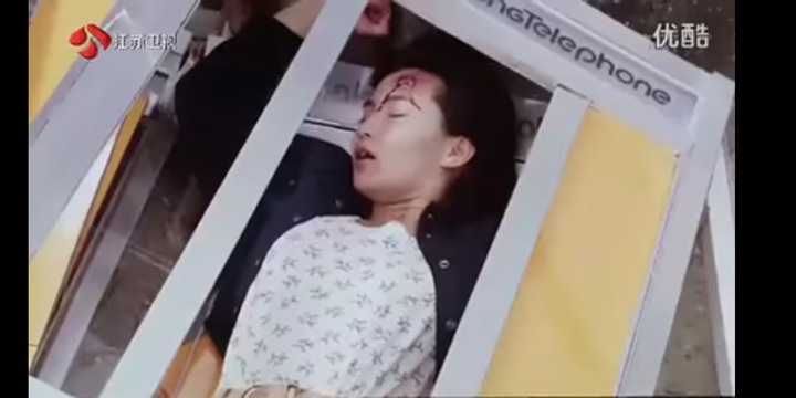 肥貓流浪記觀後心得