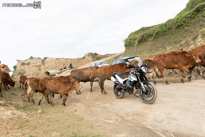KTM 790 ADVENTURE 試駕 塵土飛揚的激情！冒險旅程即刻開始