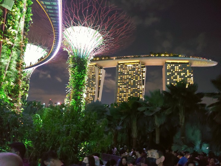 2020新加坡自助旅行---天空樹+天空步道