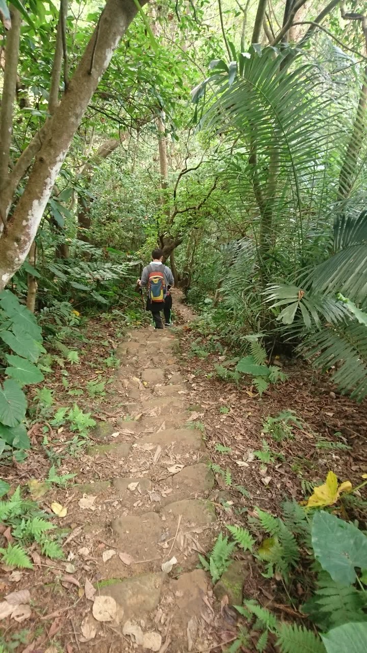 [樂山童盟] [台北大安] 富陽生態公園(福州山)之貓形路線大亂走(富陽生態公園-福州山-中埔山-中埔山東峰)