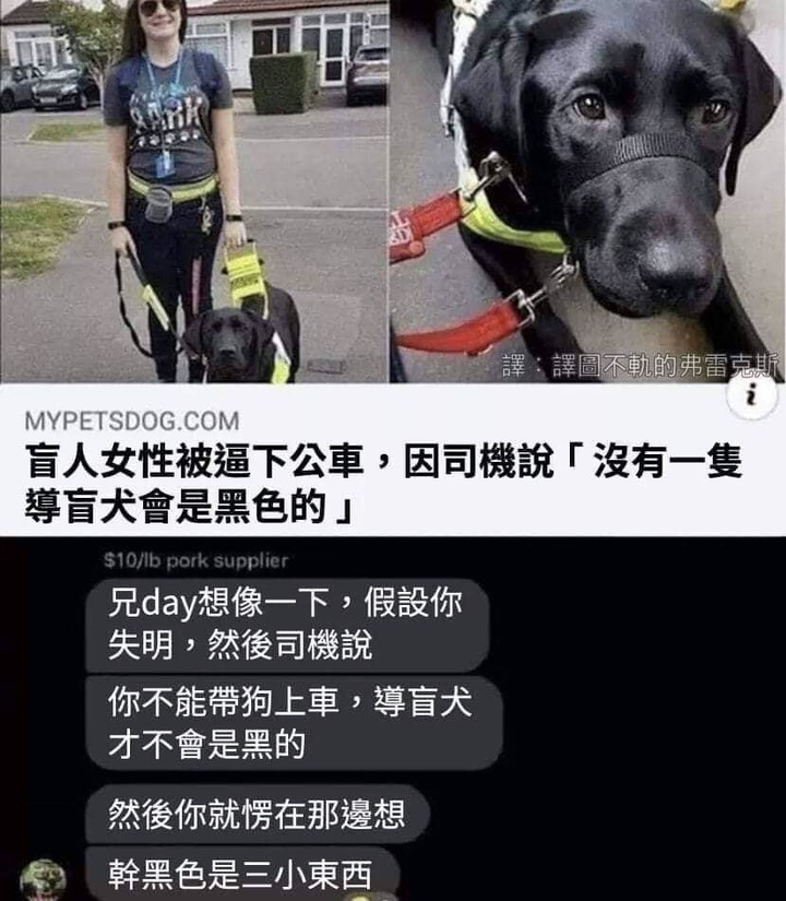 應該有黑色的導盲犬吧？