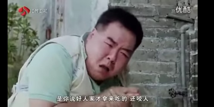 肥貓流浪記觀後心得