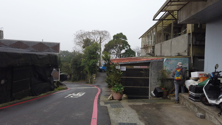 [樂山童盟] [台北北投] 悠遊"竹子湖"[猴崁湖田國小步道-百年楓香巨木-草山水道滾水頭-猴崁水圳古道-青楓步道-竹子湖黑森林-水車寮步道]
