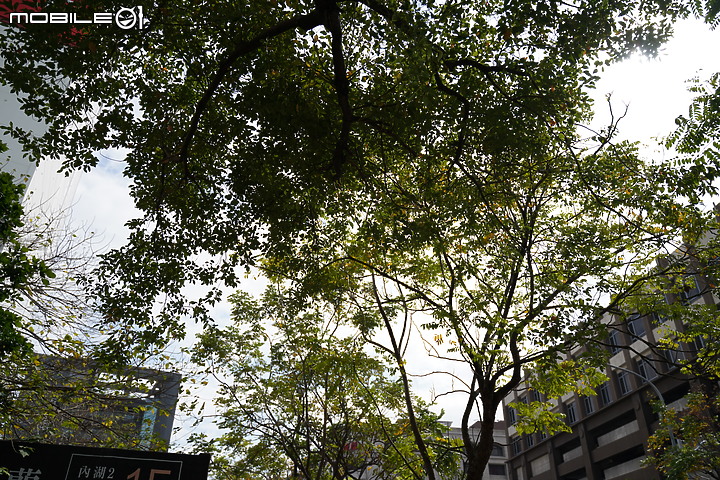 無反 24-70mm f/2.8 大集評！Canon / Nikon / Panasonic / Sigma / Sony / Tamron 頂尖對決！