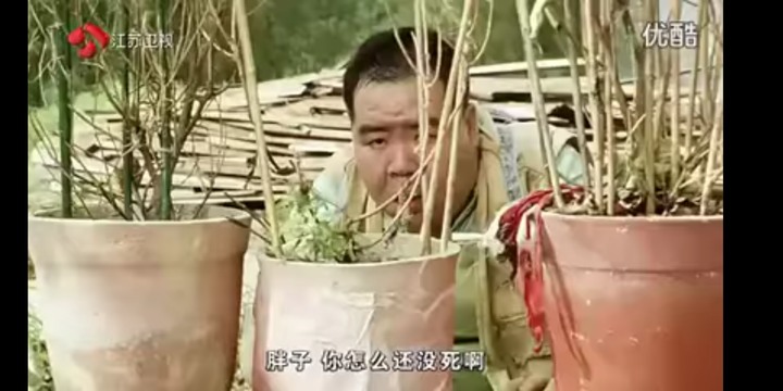 肥貓流浪記觀後心得