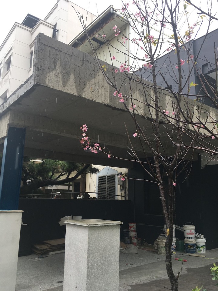 【★開箱★】租屋30年,如今買了舊屋透天!並且裝修!兩層透天&現代簡&舒服明亮(未來將持續更新)