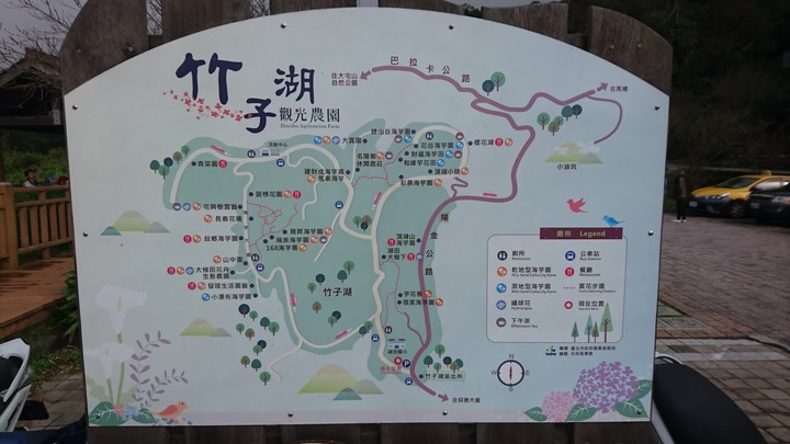 [樂山童盟] [台北北投] 悠遊"竹子湖"[猴崁湖田國小步道-百年楓香巨木-草山水道滾水頭-猴崁水圳古道-青楓步道-竹子湖黑森林-水車寮步道]