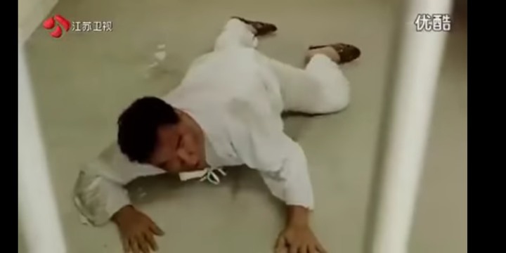 肥貓流浪記觀後心得
