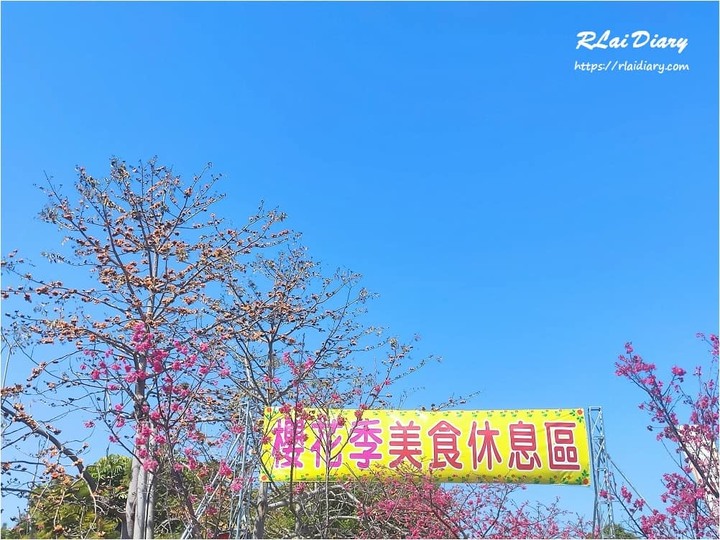點我看大圖 【台中 – 玩】賞櫻│2020 后里泰安派出所 櫻花季