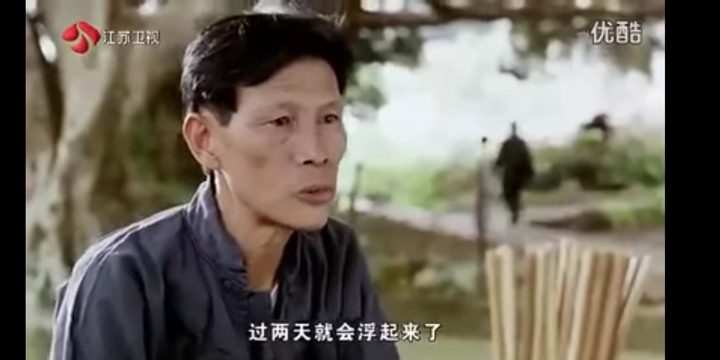 肥貓流浪記觀後心得