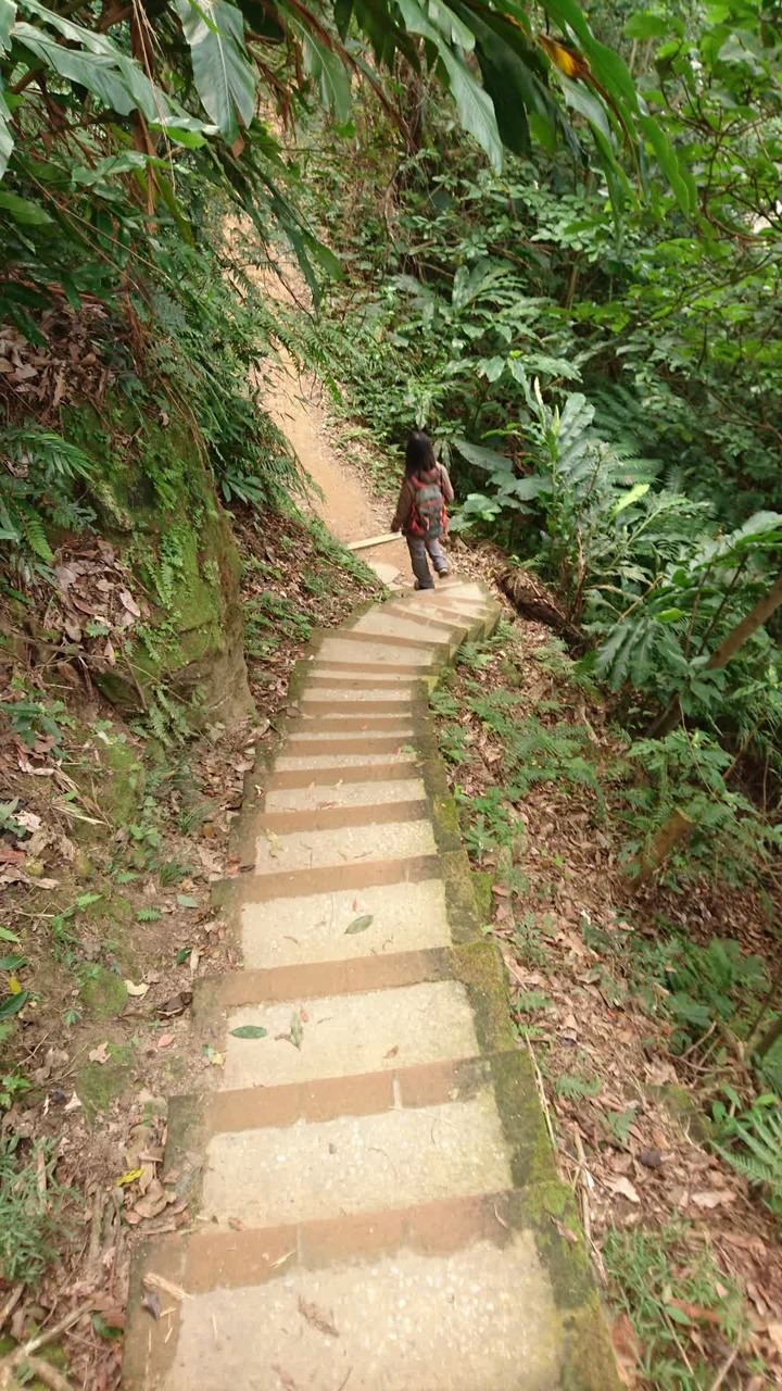 [樂山童盟] [台北大安] 富陽生態公園(福州山)之貓形路線大亂走(富陽生態公園-福州山-中埔山-中埔山東峰)