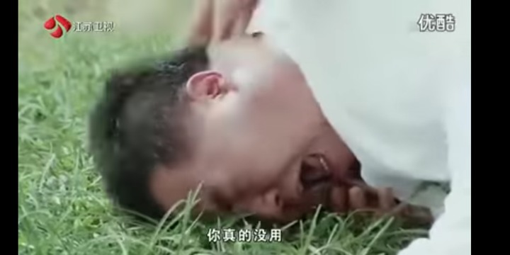 肥貓流浪記觀後心得