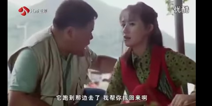 肥貓流浪記觀後心得