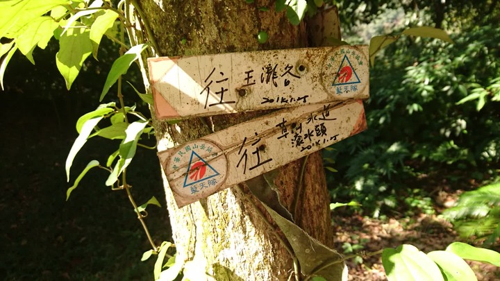 [樂山童盟] [台北北投] 悠遊"竹子湖"[猴崁湖田國小步道-百年楓香巨木-草山水道滾水頭-猴崁水圳古道-青楓步道-竹子湖黑森林-水車寮步道]