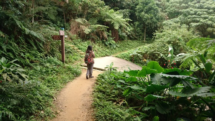 [樂山童盟] [台北大安] 富陽生態公園(福州山)之貓形路線大亂走(富陽生態公園-福州山-中埔山-中埔山東峰)