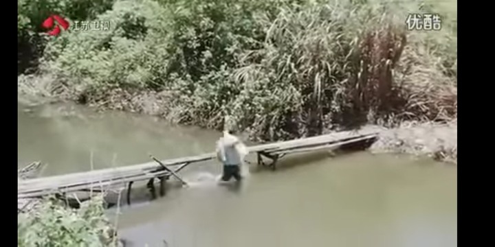 肥貓流浪記觀後心得