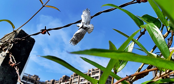 Scarabones-熊鷹翱翔墜