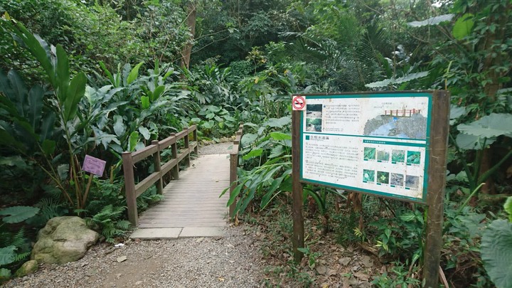 [樂山童盟] [台北大安] 富陽生態公園(福州山)之貓形路線大亂走(富陽生態公園-福州山-中埔山-中埔山東峰)