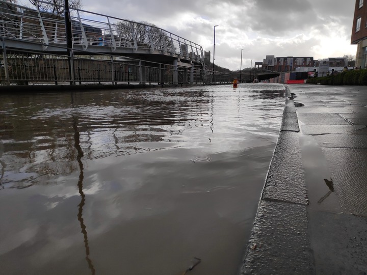 【閒聊與趣味】救貓喔！