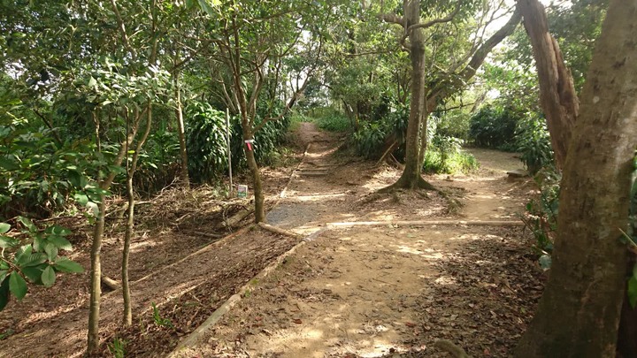 [樂山童盟] [台北大安] 富陽生態公園(福州山)之貓形路線大亂走(富陽生態公園-福州山-中埔山-中埔山東峰)