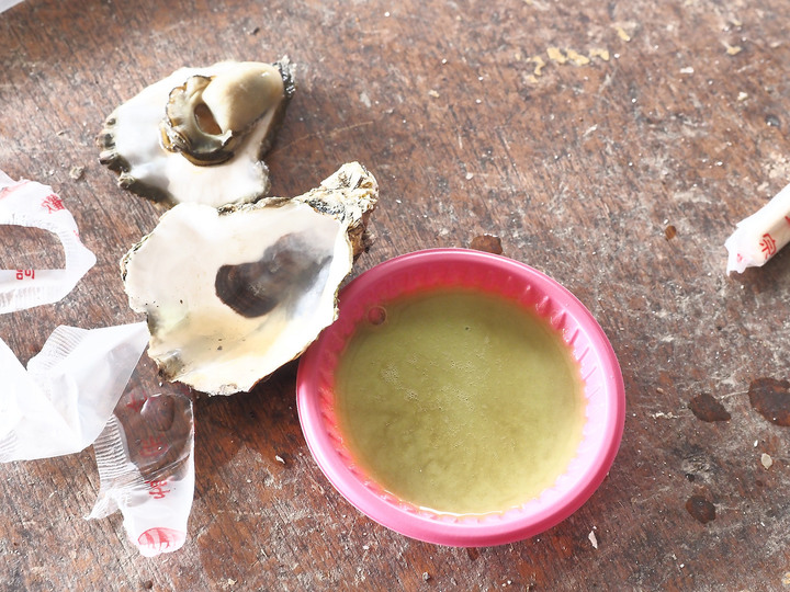臺南 七股 龍山號遊潟湖與烤蚵 — 養蚵人生之體驗與生猛鮮蚵之享受
