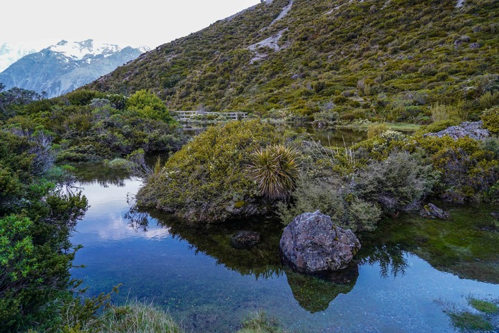 剎那永恆｜紐西蘭南島｜蜜月輕旅拍