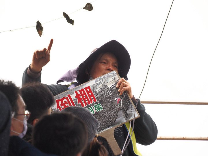 臺南 七股 龍山號遊潟湖與烤蚵 — 養蚵人生之體驗與生猛鮮蚵之享受