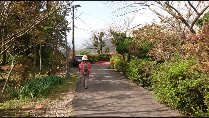[樂山童盟] [台北北投] 悠遊"竹子湖"[猴崁湖田國小步道-百年楓香巨木-草山水道滾水頭-猴崁水圳古道-青楓步道-竹子湖黑森林-水車寮步道]