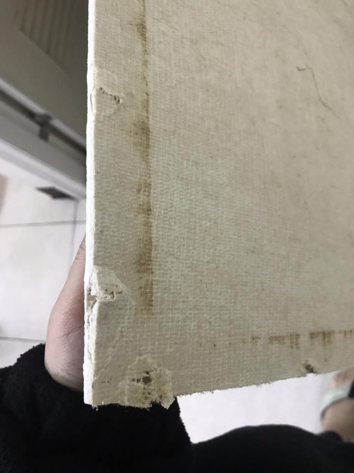 氧化鎂板相關災情