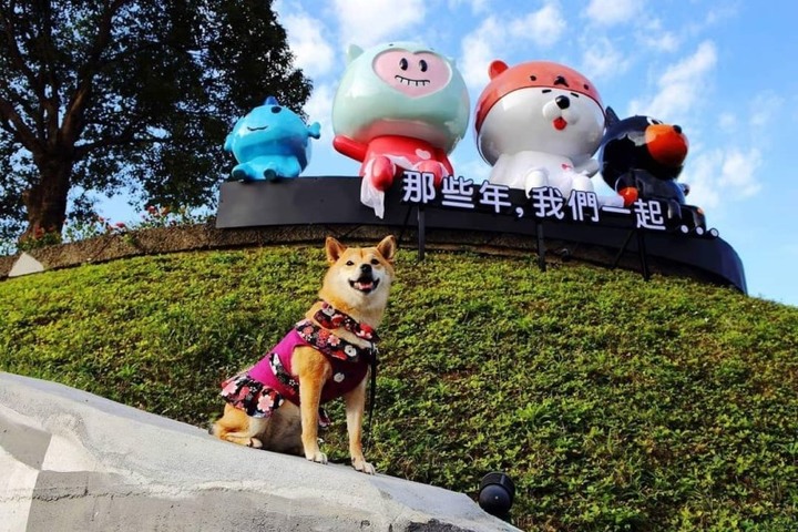 【台中│遊記】亞洲最大寵物樂園「啵比星球」，帶毛小孩出門玩囉！