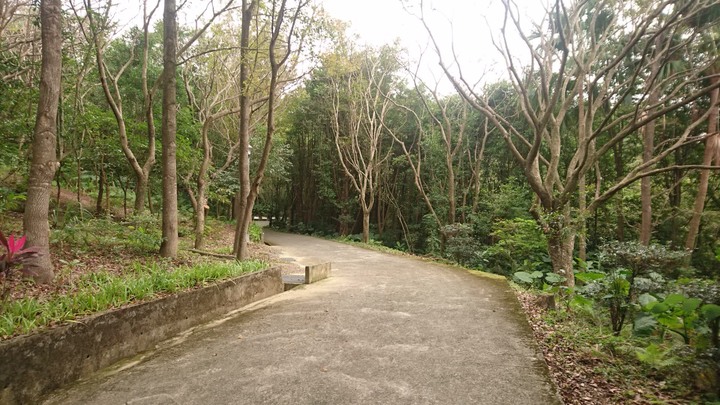 [樂山童盟] [台北大安] 富陽生態公園(福州山)之貓形路線大亂走(富陽生態公園-福州山-中埔山-中埔山東峰)