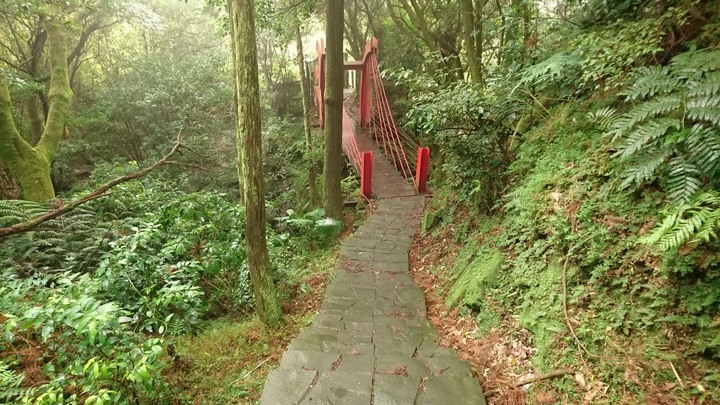 [樂山童盟] [台北北投] 悠遊"竹子湖"[猴崁湖田國小步道-百年楓香巨木-草山水道滾水頭-猴崁水圳古道-青楓步道-竹子湖黑森林-水車寮步道]