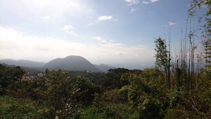 [樂山童盟] [台北北投] 悠遊"竹子湖"[猴崁湖田國小步道-百年楓香巨木-草山水道滾水頭-猴崁水圳古道-青楓步道-竹子湖黑森林-水車寮步道]
