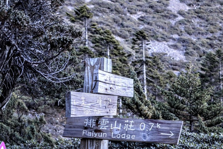 能夠站上玉山，是多少感謝的堆疊。