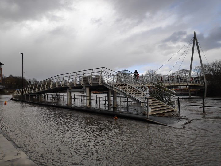 【閒聊與趣味】救貓喔！