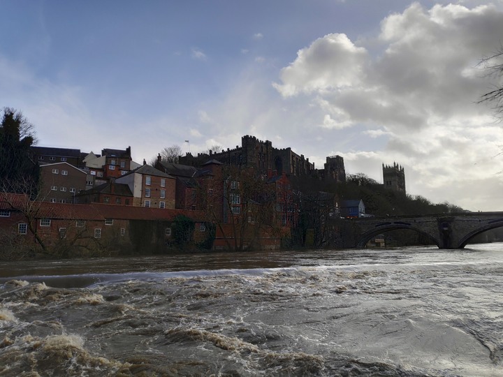 【閒聊與趣味】救貓喔！